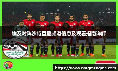 埃及对阵沙特直播频道信息及观看指南详解