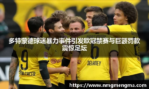 多特蒙德球迷暴力事件引发欧冠禁赛与巨额罚款震惊足坛